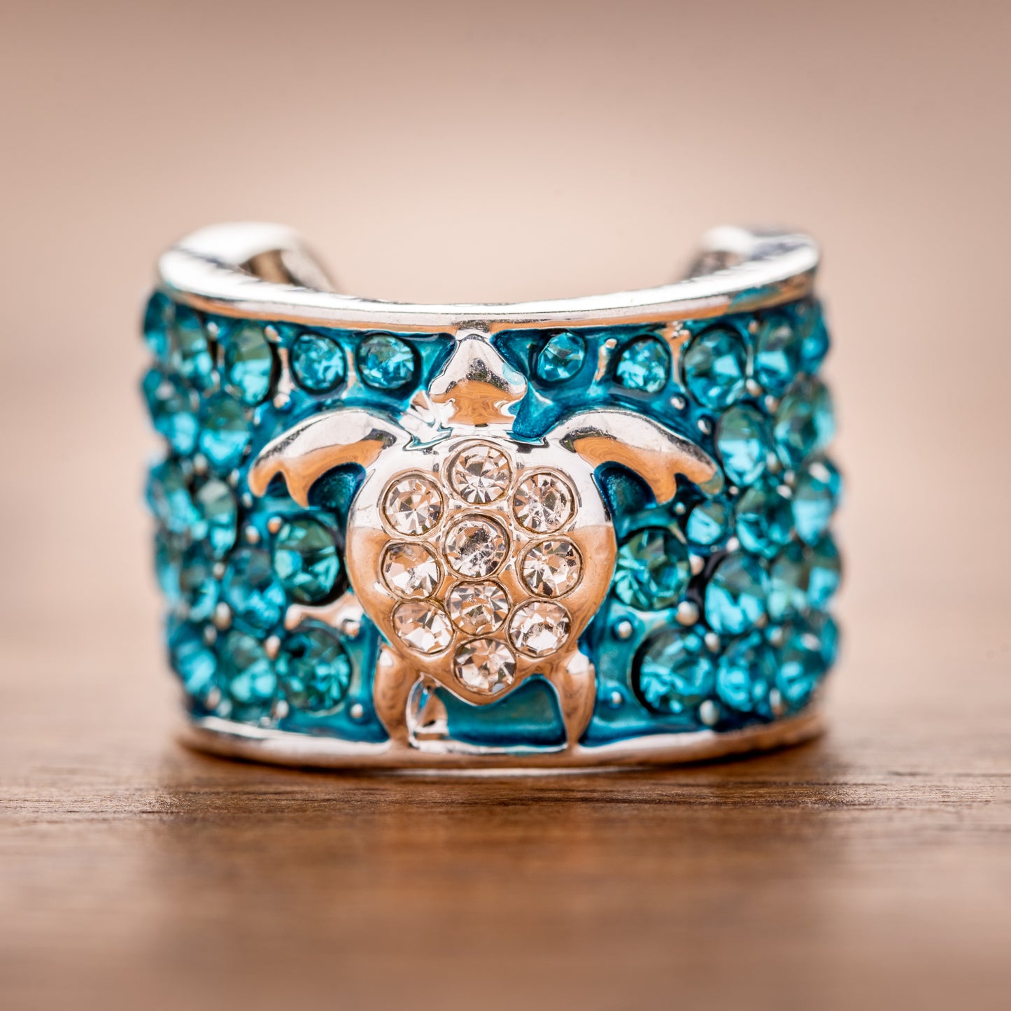 Sea Turtle Charm