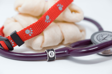 The Best Gifts for Nurses, Doctors, Veterinarians, Respiratory Therapists, and EMTs - CharMED