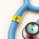 Cactus Stethoscope Charm