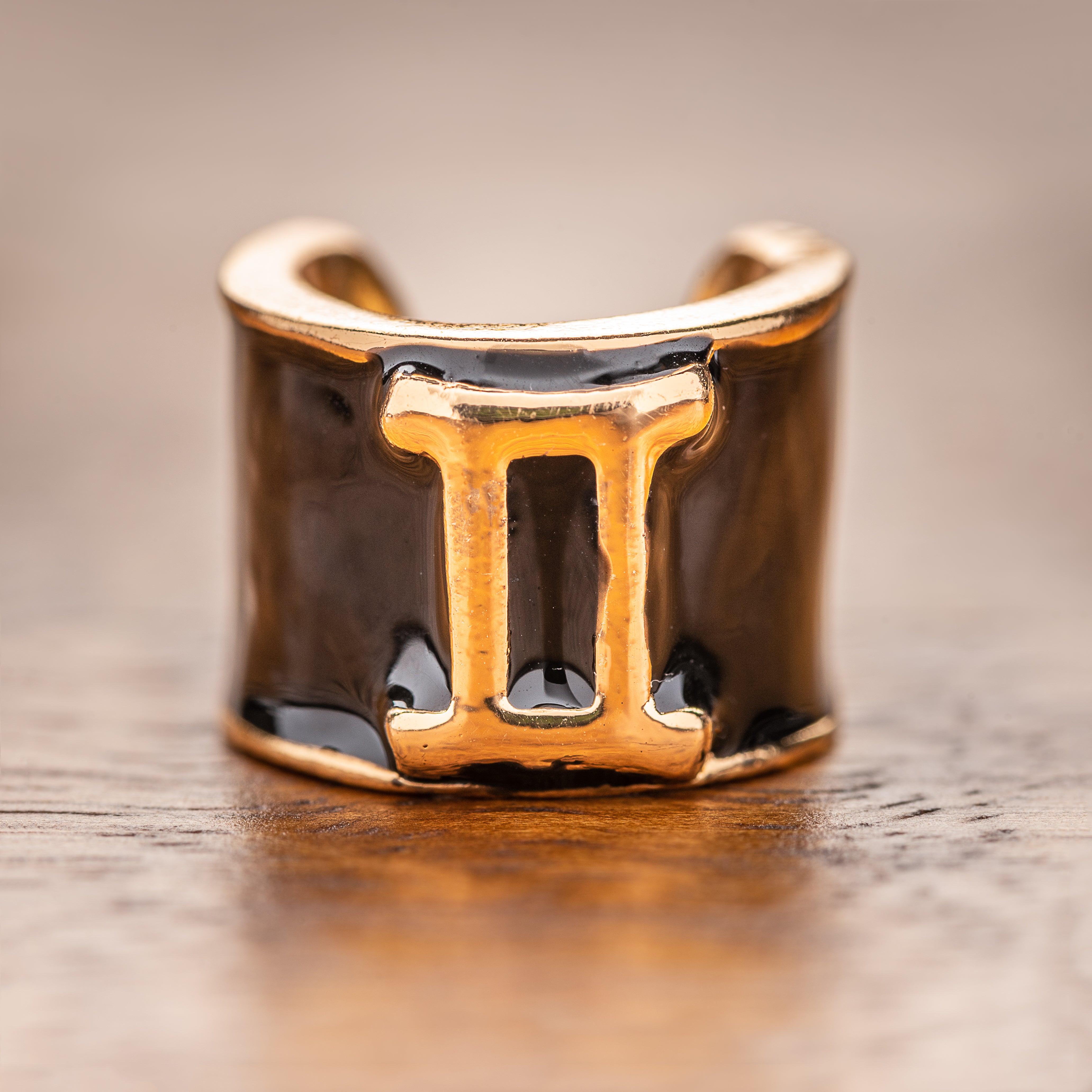 Gemini Charm