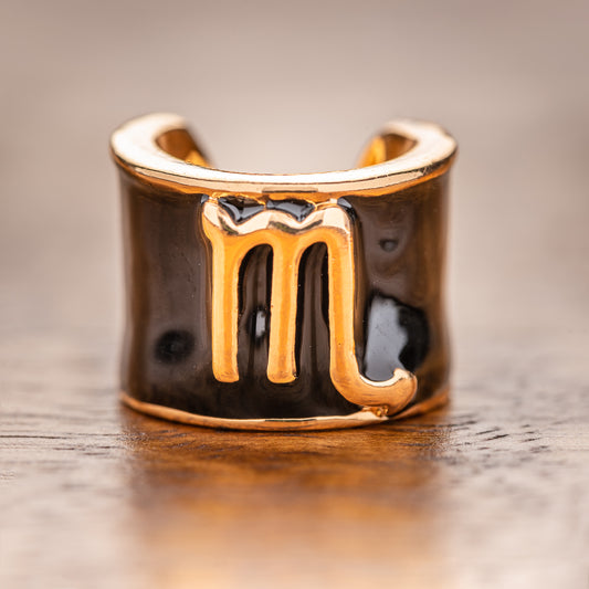 Scorpio Charm